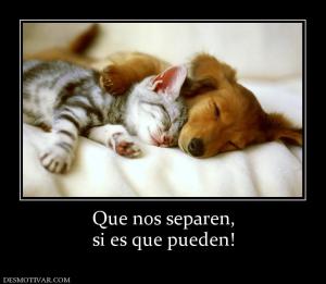 Que nos separen, si es que pueden!