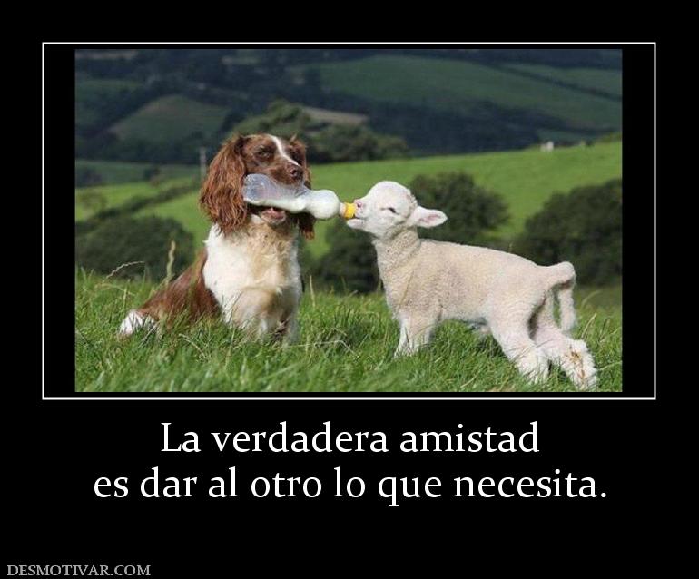 La verdadera amistad es dar al otro lo que necesita.