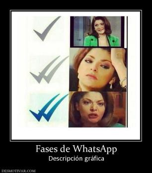 Fases de WhatsApp Descripción gráfica