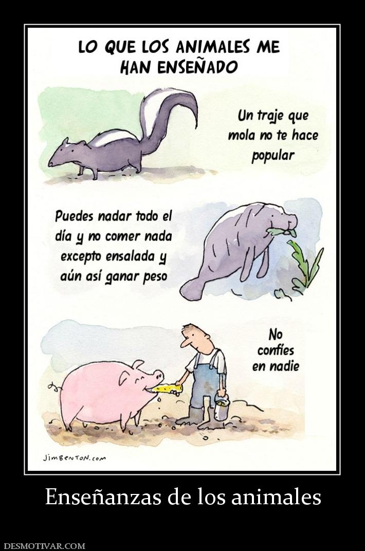 Enseñanzas de los animales
