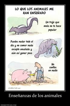 Enseñanzas de los animales