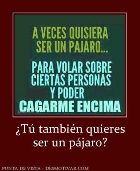 ¿Tú también quieres ser un pájaro?