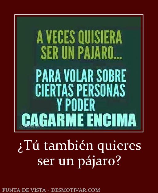 ¿Tú también quieres ser un pájaro?