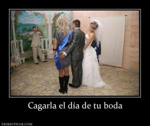 Cagarla el día de tu boda