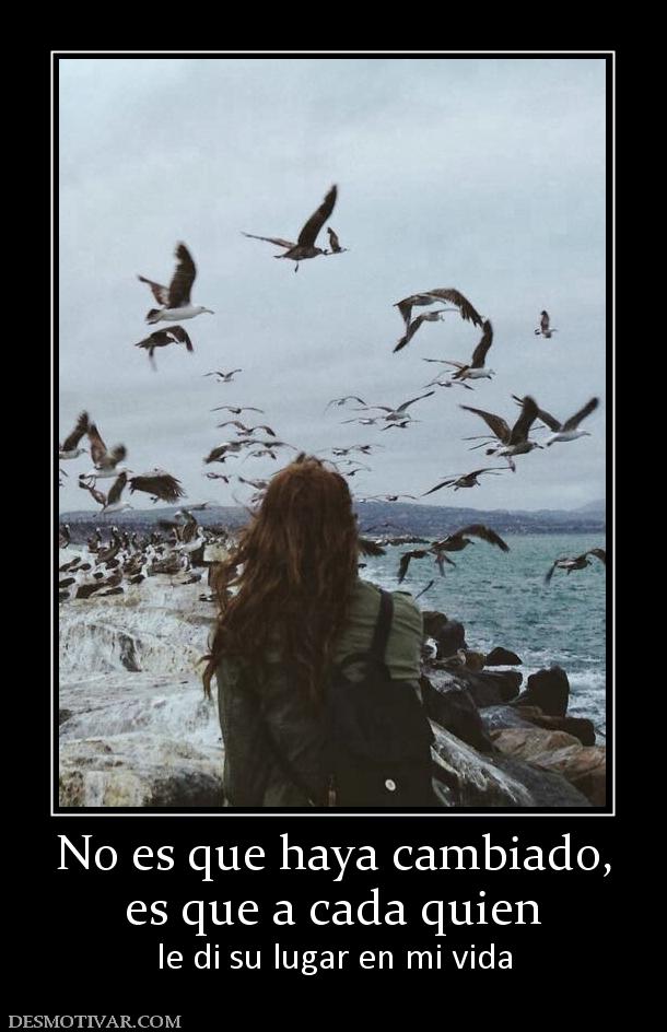 No es que haya cambiado, es que a cada quien le di su lugar en mi vida