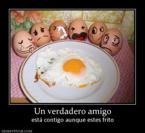 Un verdadero amigo está contigo aunque estes frito