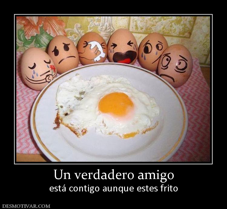 Un verdadero amigo está contigo aunque estes frito