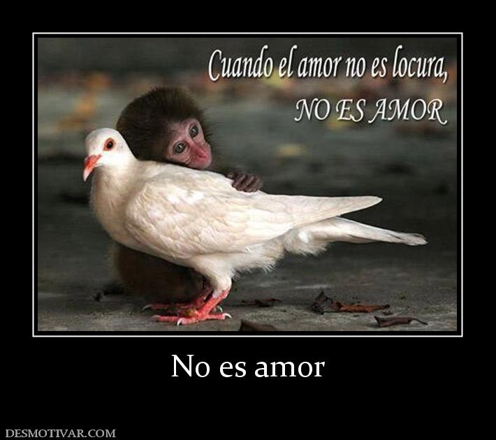 No es amor