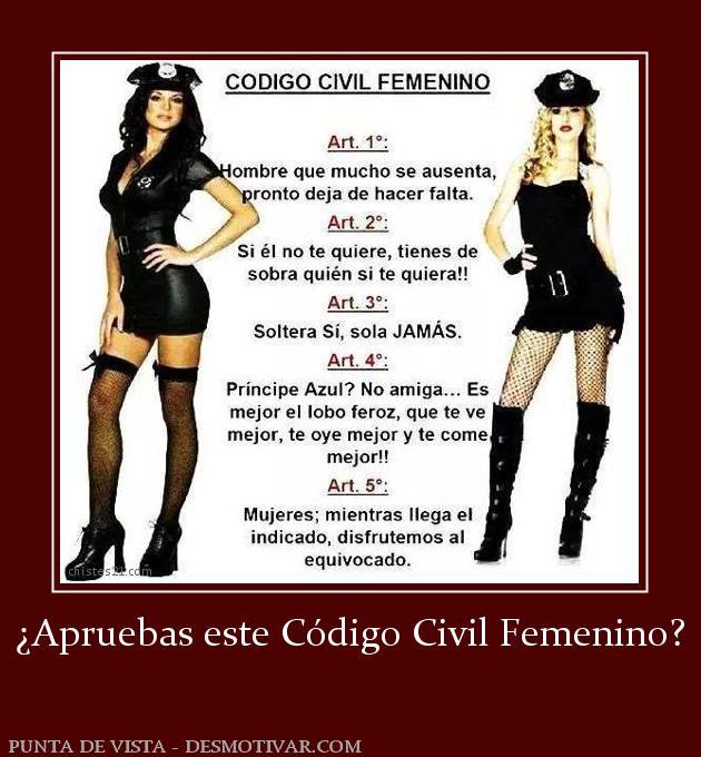 ¿Apruebas este Código Civil Femenino?