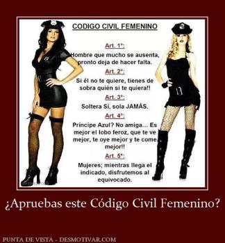 ¿Apruebas este Código Civil Femenino?