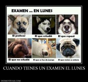 CUANDO TIENES UN EXAMEN EL LUNES