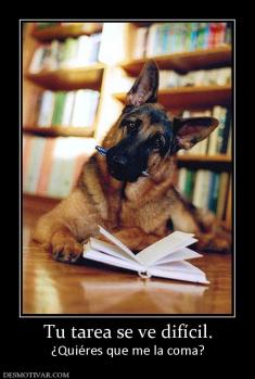 Tu tarea se ve difícil. ¿Quiéres que me la coma?