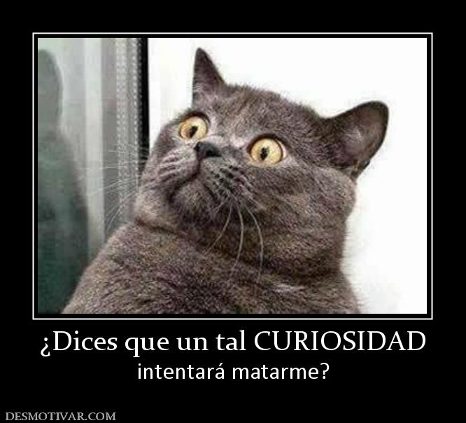 ¿Dices que un tal CURIOSIDAD intentará matarme?