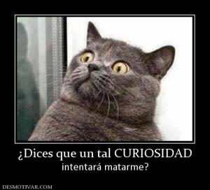 ¿Dices que un tal CURIOSIDAD intentará matarme?