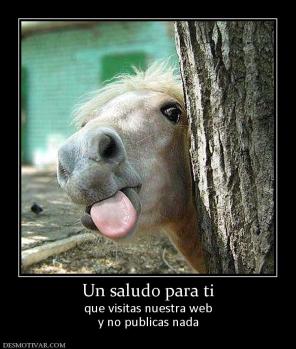Un saludo para ti que visitas nuestra web y no publicas nada