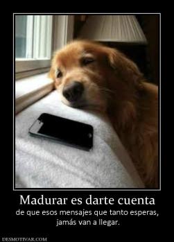 Madurar es darte cuenta de que esos mensajes que tanto esperas,  jamás van a llegar.