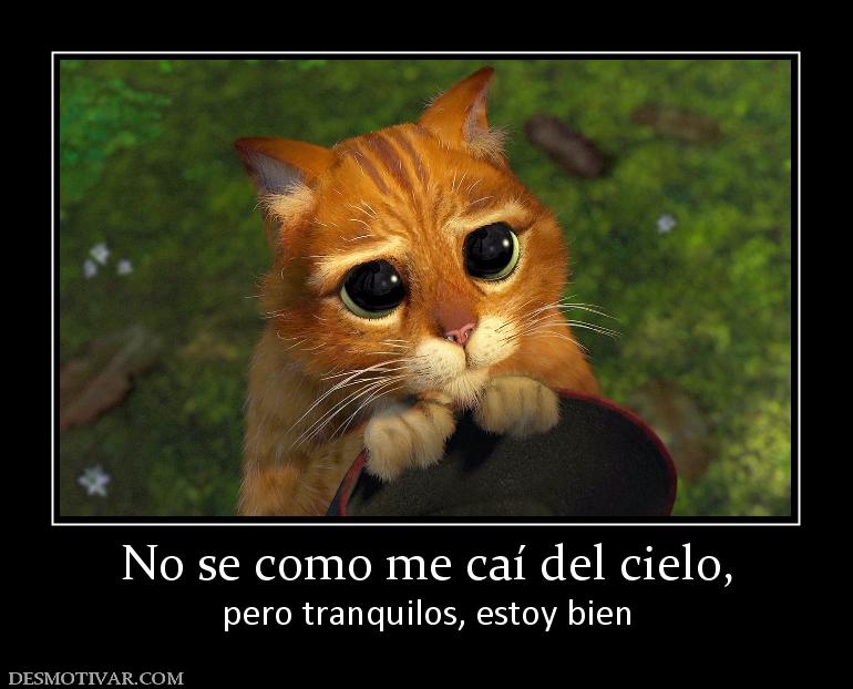 No se como me caí del cielo, pero tranquilos, estoy bien