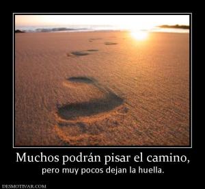 Muchos podrán pisar el camino, pero muy pocos dejan la huella.