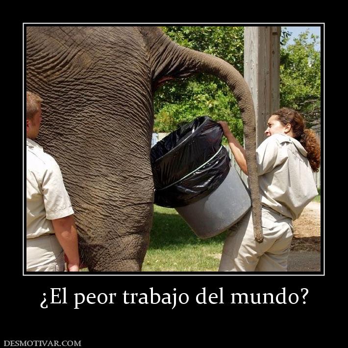 ¿El peor trabajo del mundo?