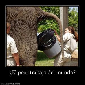 ¿El peor trabajo del mundo?