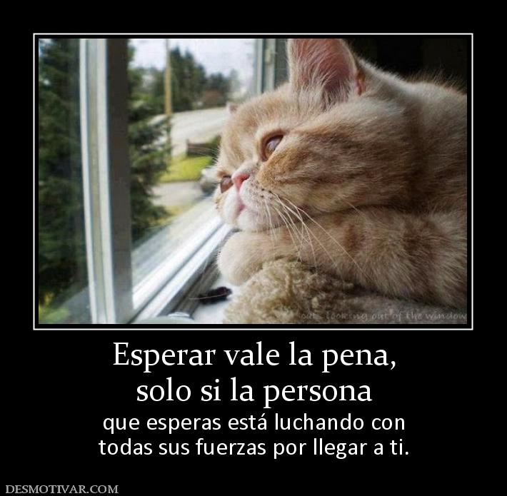 Esperar vale la pena, solo si la persona  que esperas está luchando con todas sus fuerzas por llegar a ti.