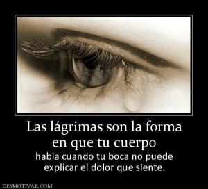 Las lágrimas son la forma en que tu cuerpo habla cuando tu boca no puede explicar el dolor que siente.