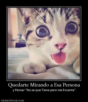 Quedarte Mirando a Esa Persona y Pensar