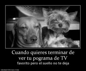 Cuando quieres terminar de ver tu pograma de TV  favorito pero el sueño no te deja