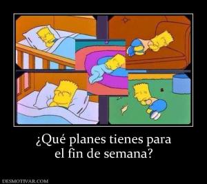 ¿Qué planes tienes para el fin de semana?
