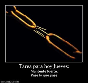 Tarea para hoy Jueves: Mantente fuerte. Pase lo que pase