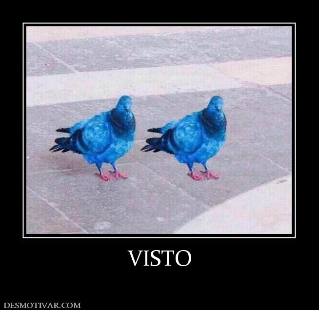 VISTO