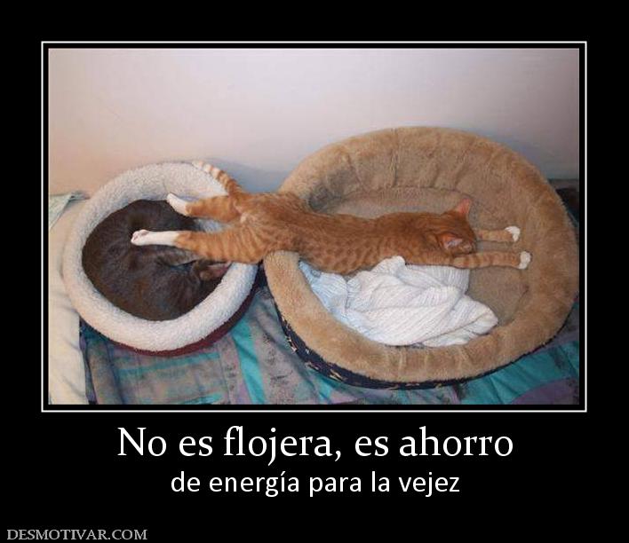 No es flojera, es ahorro de energía para la vejez
