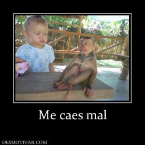 Me caes mal