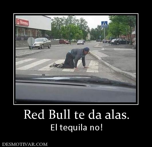 Red Bull te da alas. El tequila no!