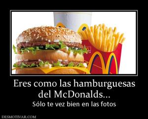 Eres como las hamburguesas del McDonalds... Sólo te vez bien en las fotos