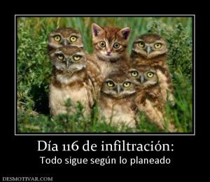 Día 116 de infiltración: Todo sigue según lo planeado