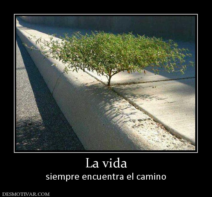 La vida siempre encuentra el camino