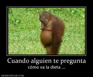 Cuando alguien te pregunta cómo va la dieta ...