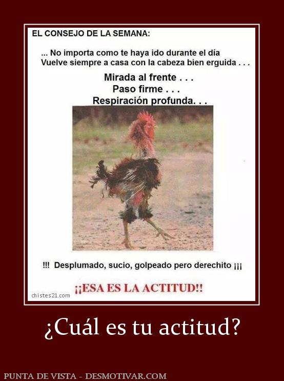 ¿Cuál es tu actitud?