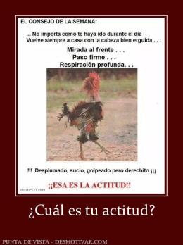 ¿Cuál es tu actitud?