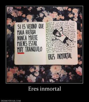 Eres inmortal
