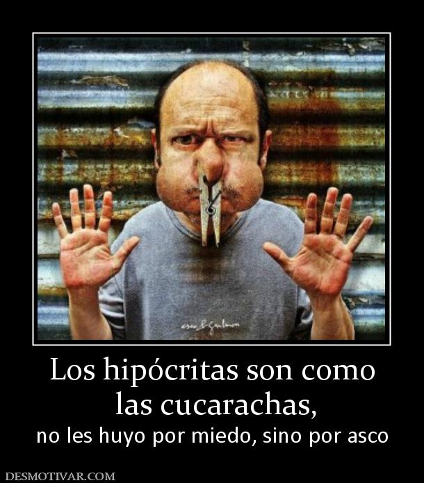 Los hipócritas son como  las cucarachas, no les huyo por miedo, sino por asco