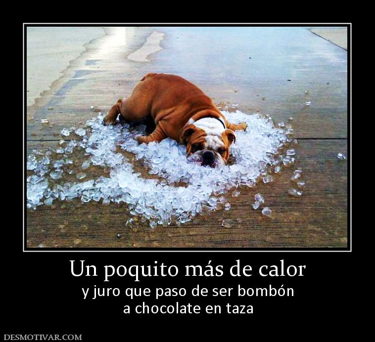 Un poquito más de calor y juro que paso de ser bombón a chocolate en taza
