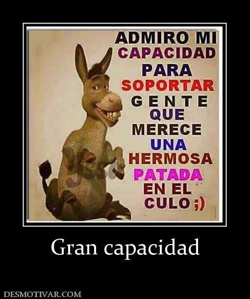 Gran capacidad