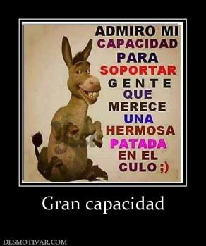 Gran capacidad
