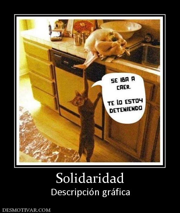 Solidaridad Descripción gráfica