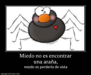 Miedo no es encontrar una araña,  miedo es perderla de vista