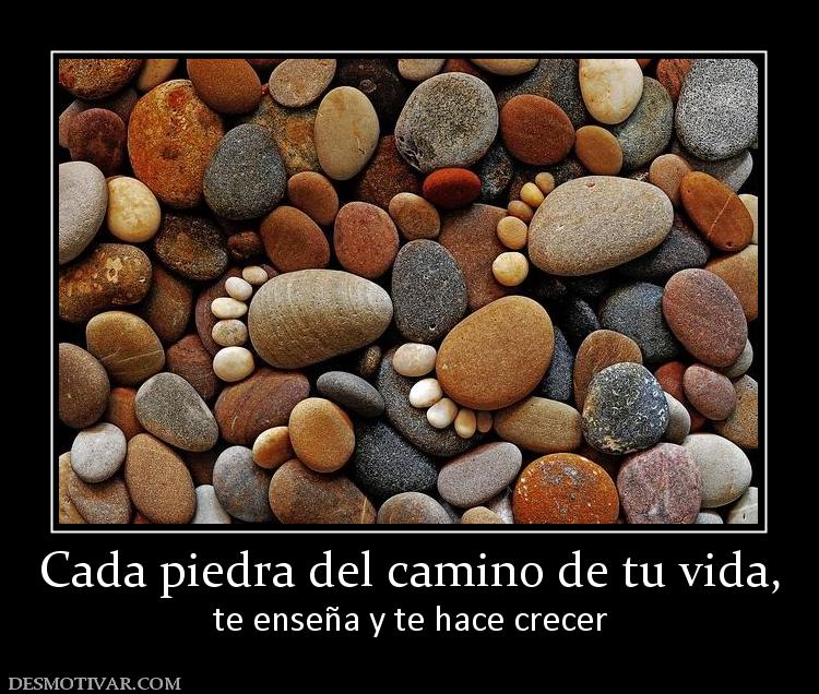 Cada piedra del camino de tu vida, te enseña y te hace crecer