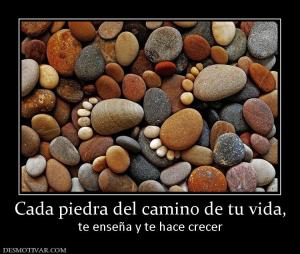 Cada piedra del camino de tu vida, te enseña y te hace crecer