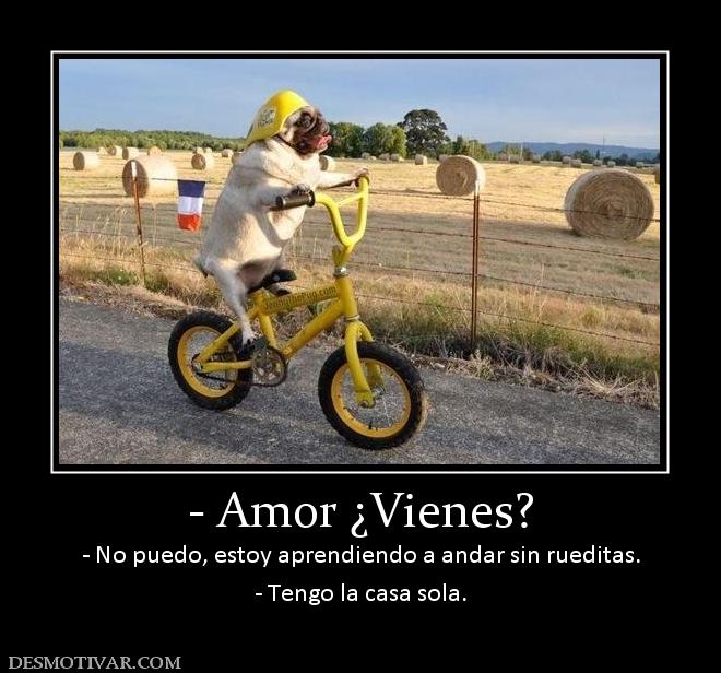 - Amor ¿Vienes? - No puedo, estoy aprendiendo a andar sin rueditas. - Tengo la casa sola.